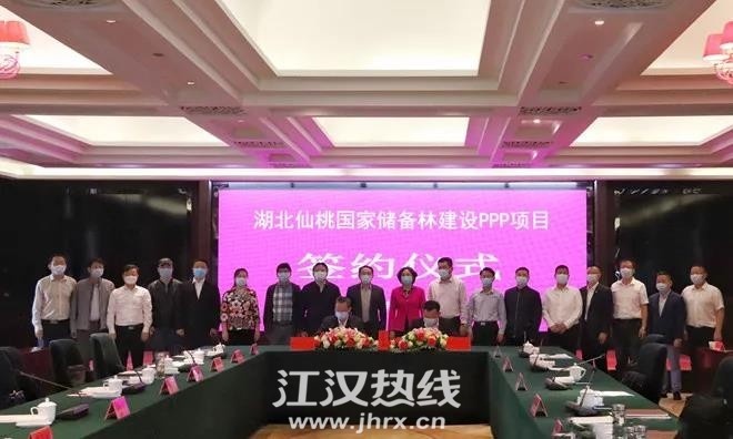 储备林2.jpg
