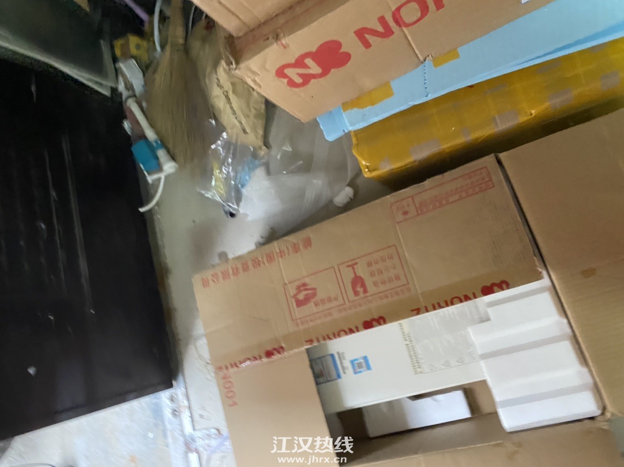 Fu7X1N-sf6B-8hOzd1KKBzBopqD4.jpg