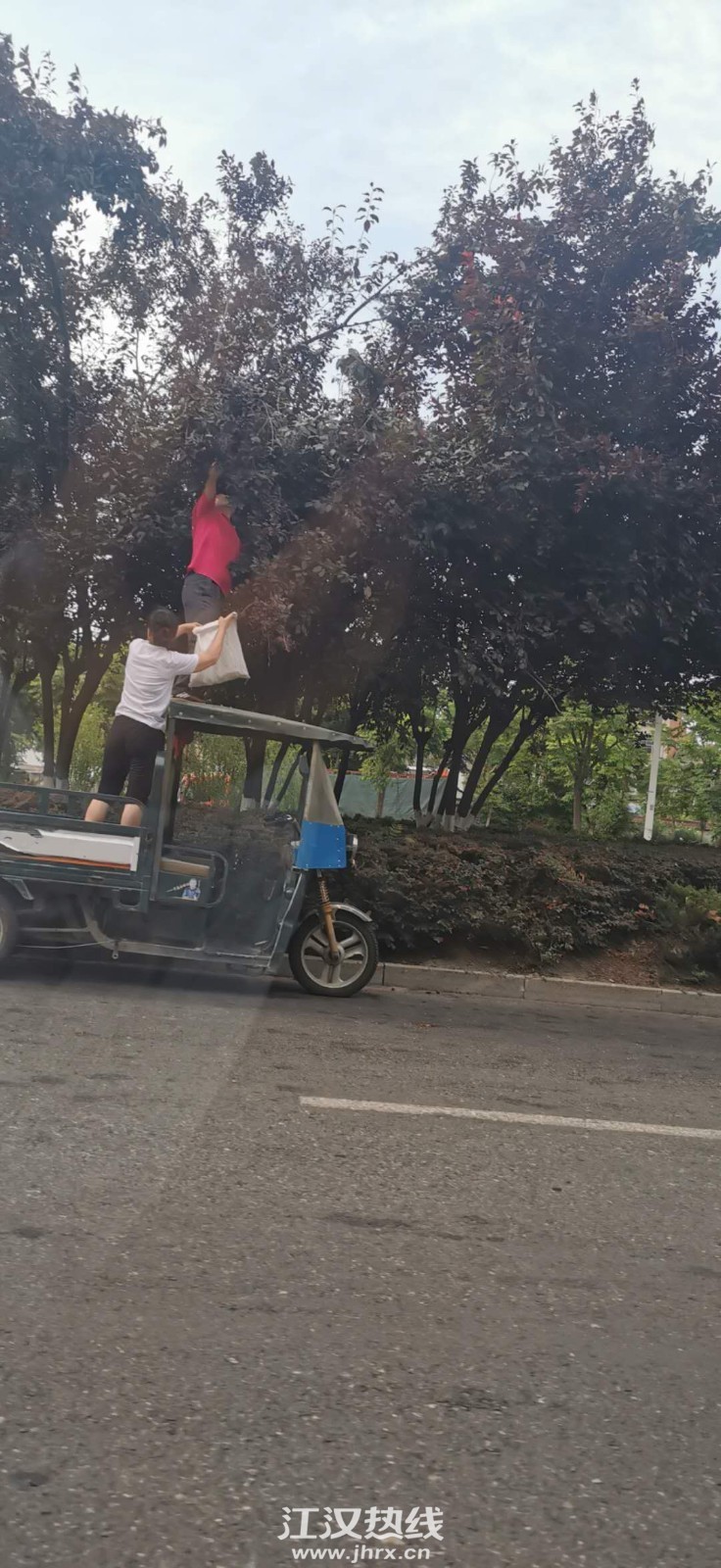 微信图片_20200608162331.jpg