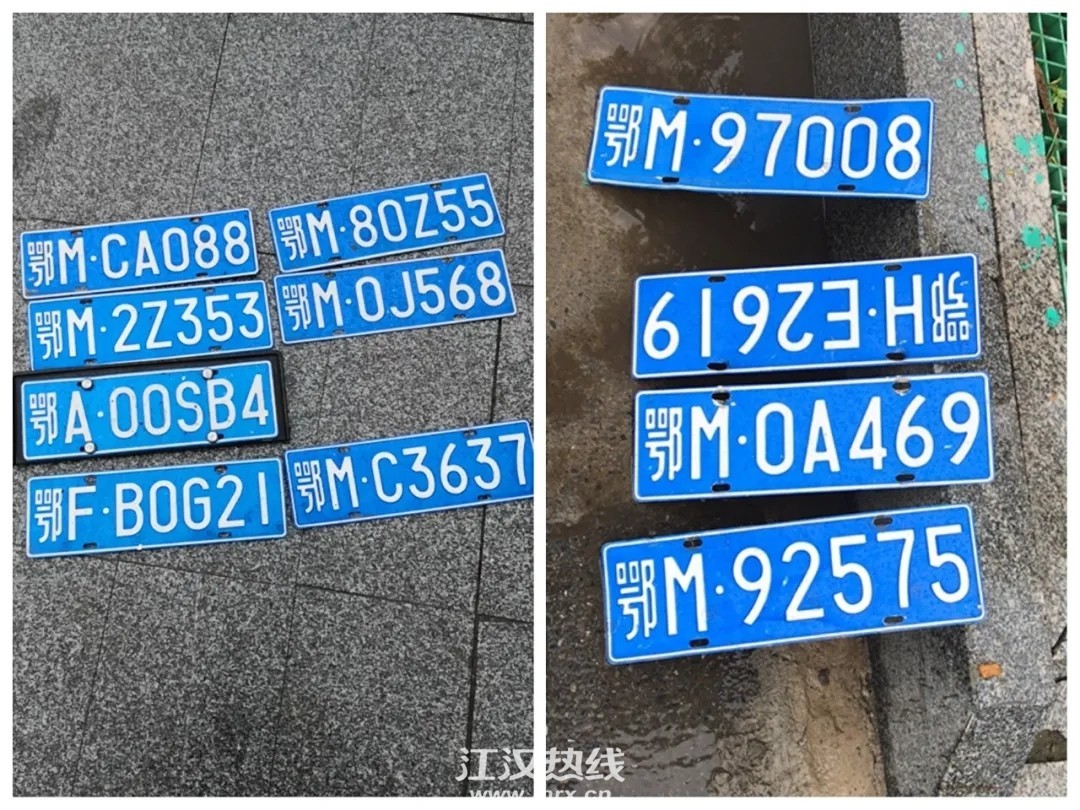 640 (1).webp (3).jpg
