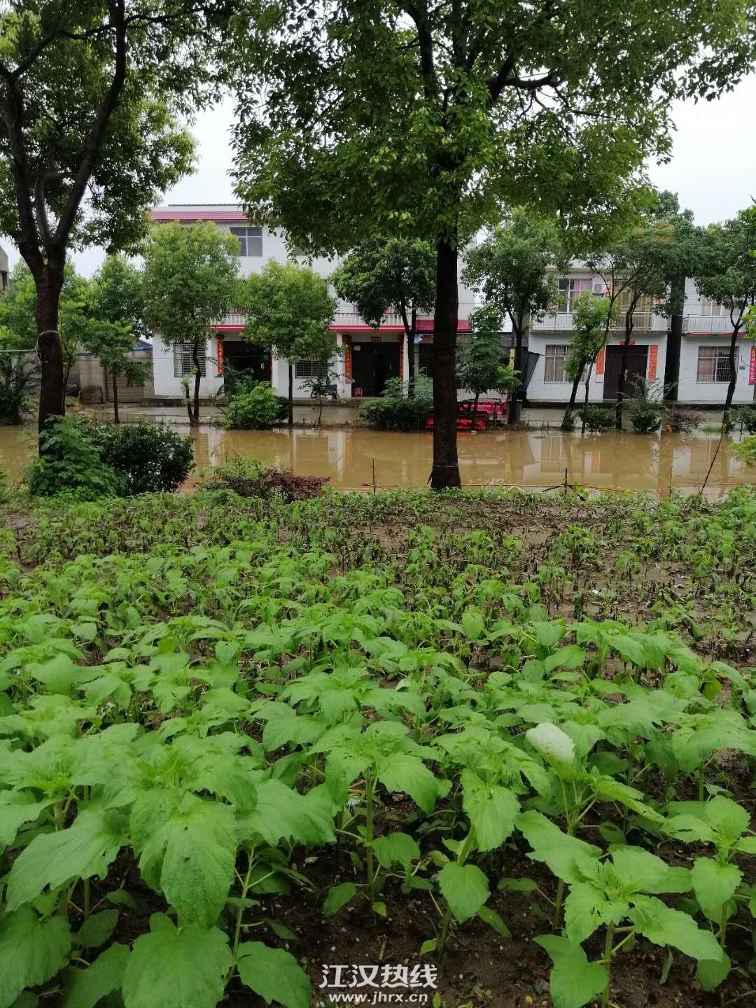 微信图片_20200707113541.jpg