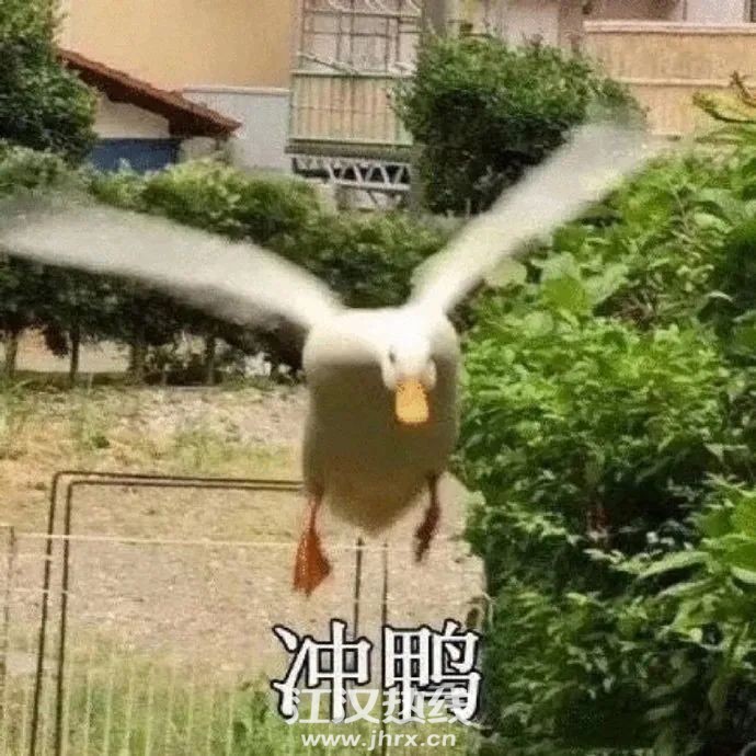 160140urz3mr6isbad6med.jpg