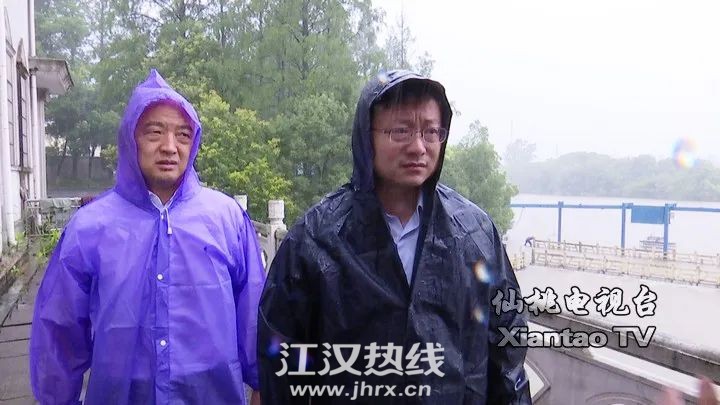 200445vzzze21evwebhnlp.jpg