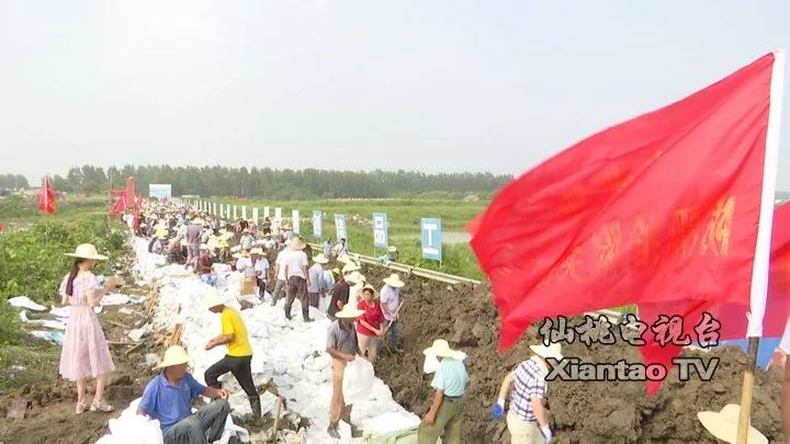 201021wzskvpeketev565p.jpg