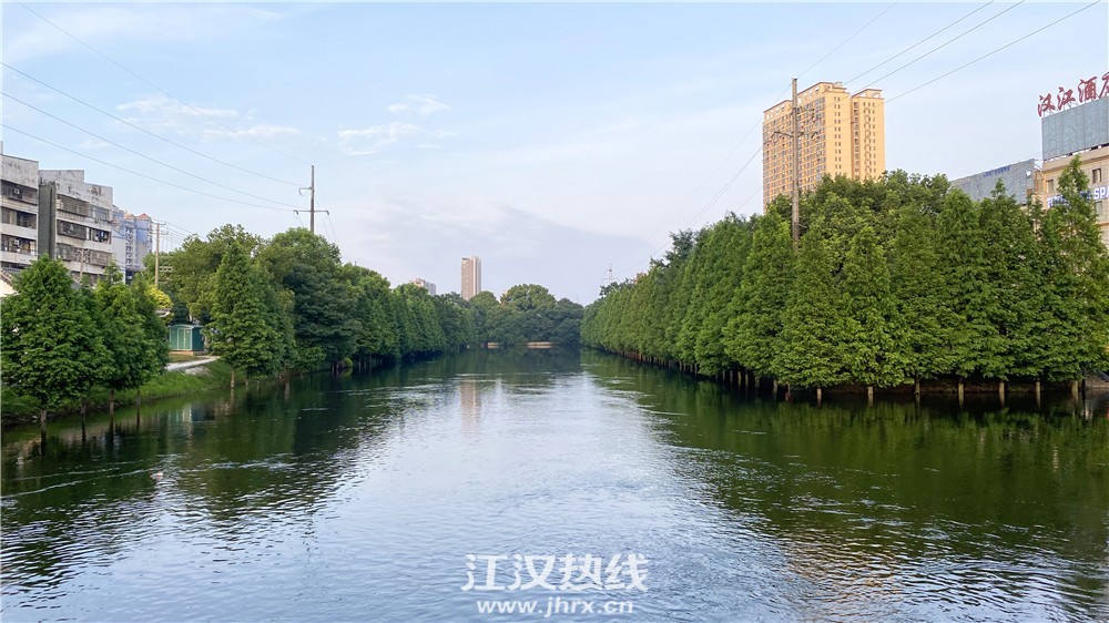 微信图片_202007141036344.jpg