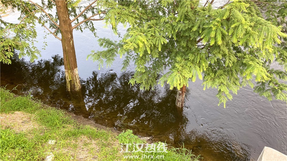 微信图片_202007141036348.jpg