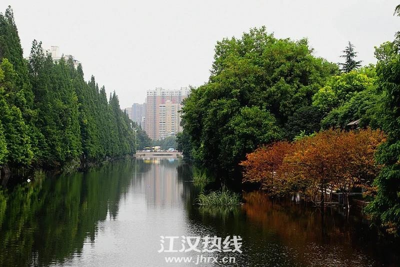 微信图片_20200715153242.jpg