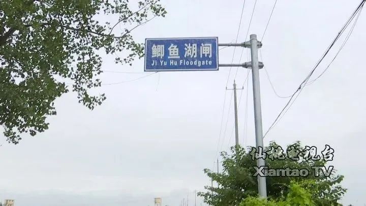 151650u81z032s3p48g2dd.jpg
