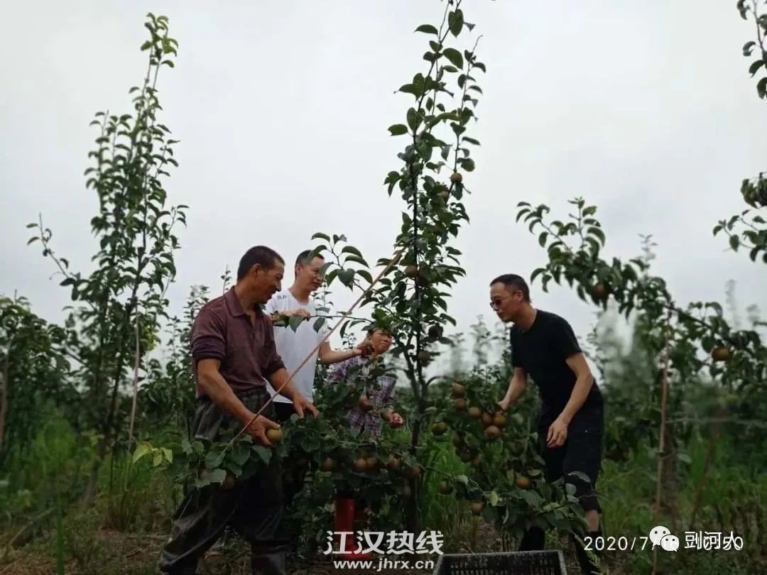 103206jcbwp6mprpgmdng0.jpg