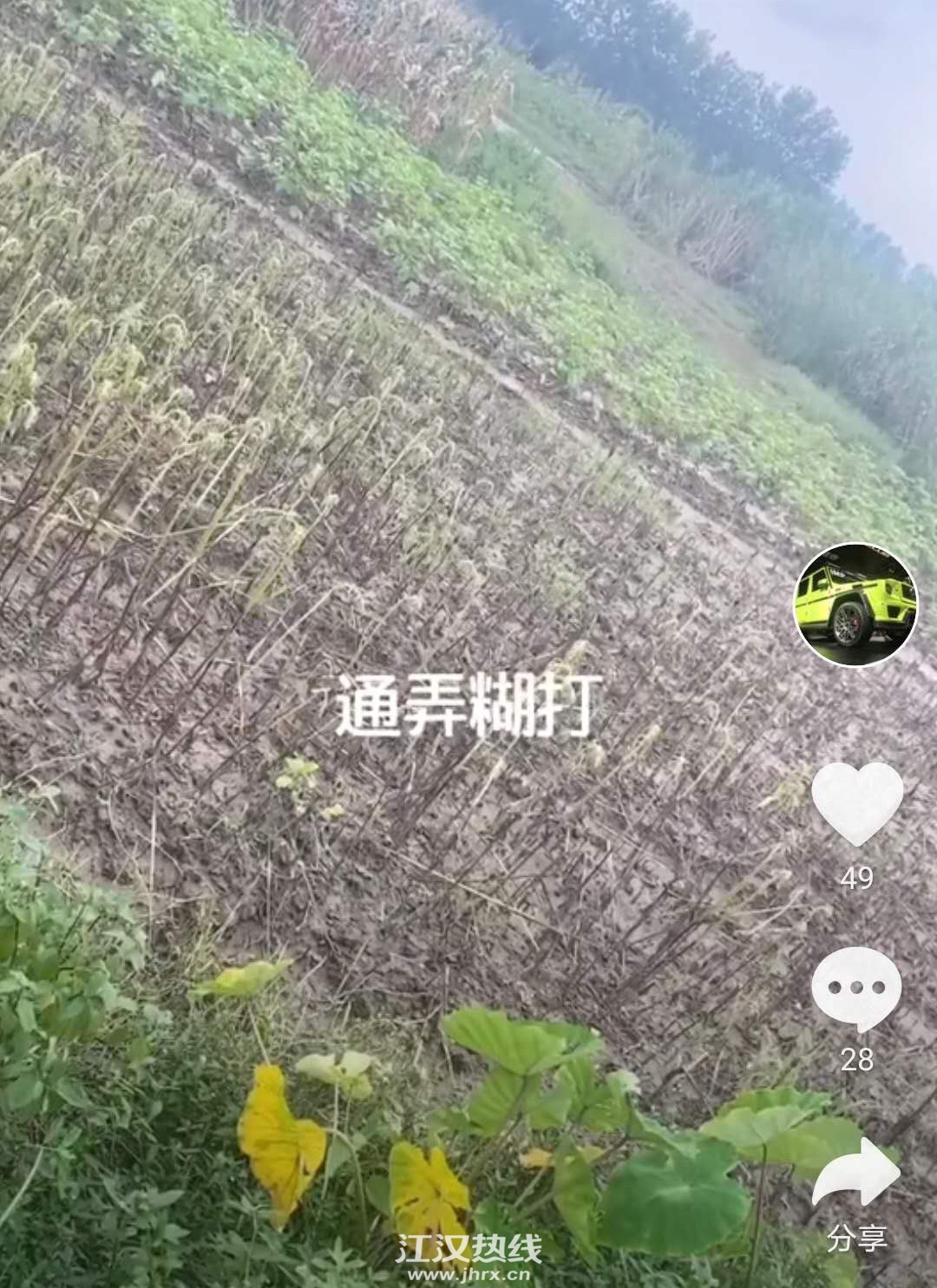 微信图片_20200722095451.jpg