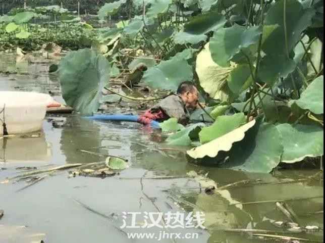 微信图片_20200804144653.jpg