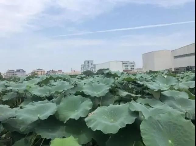 微信图片_20200804144823.jpg