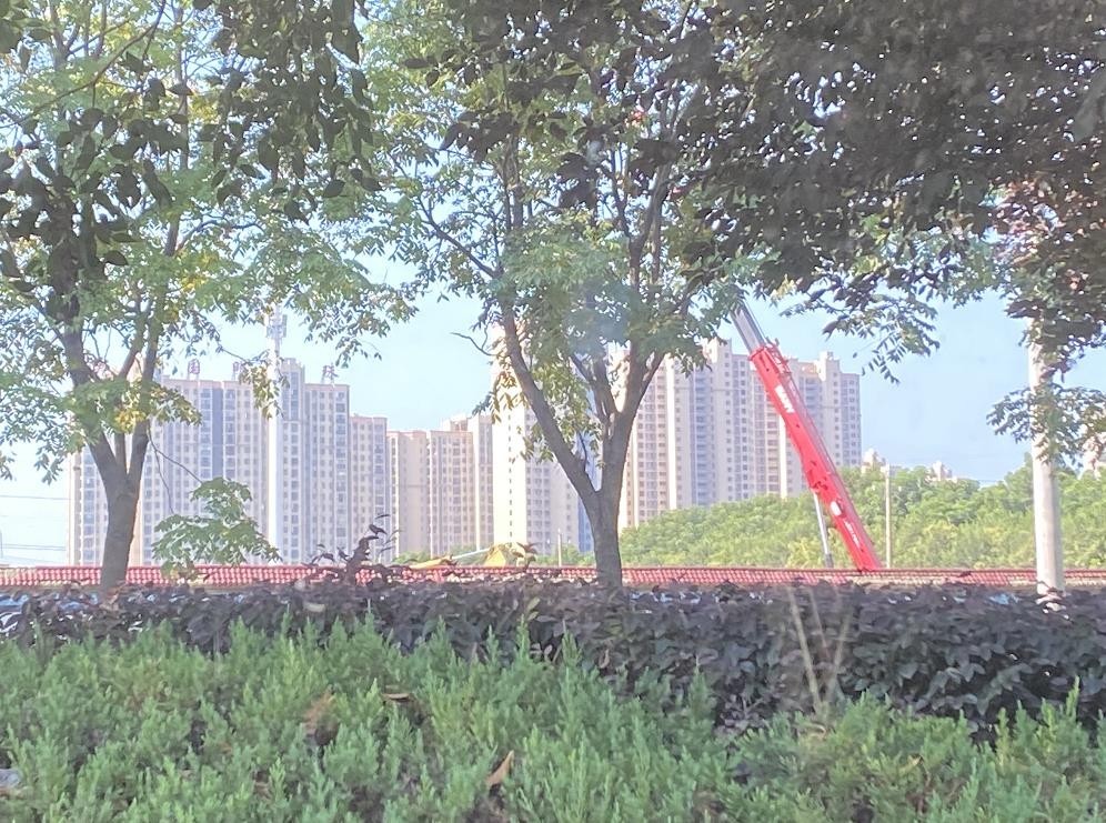 360截图20200818095550812.jpg