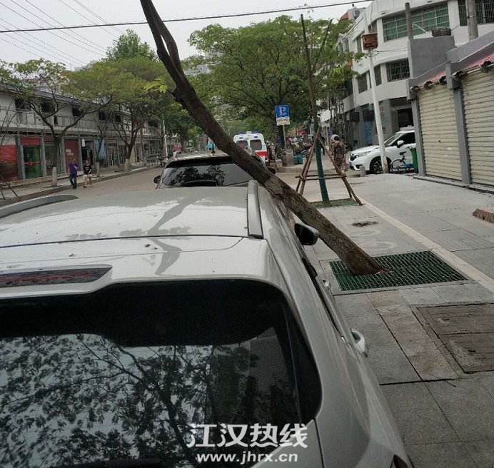 微信图片_20200821095403.jpg