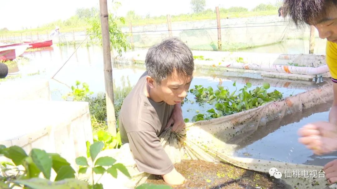 160242lbhexugupgumyxhu.jpg