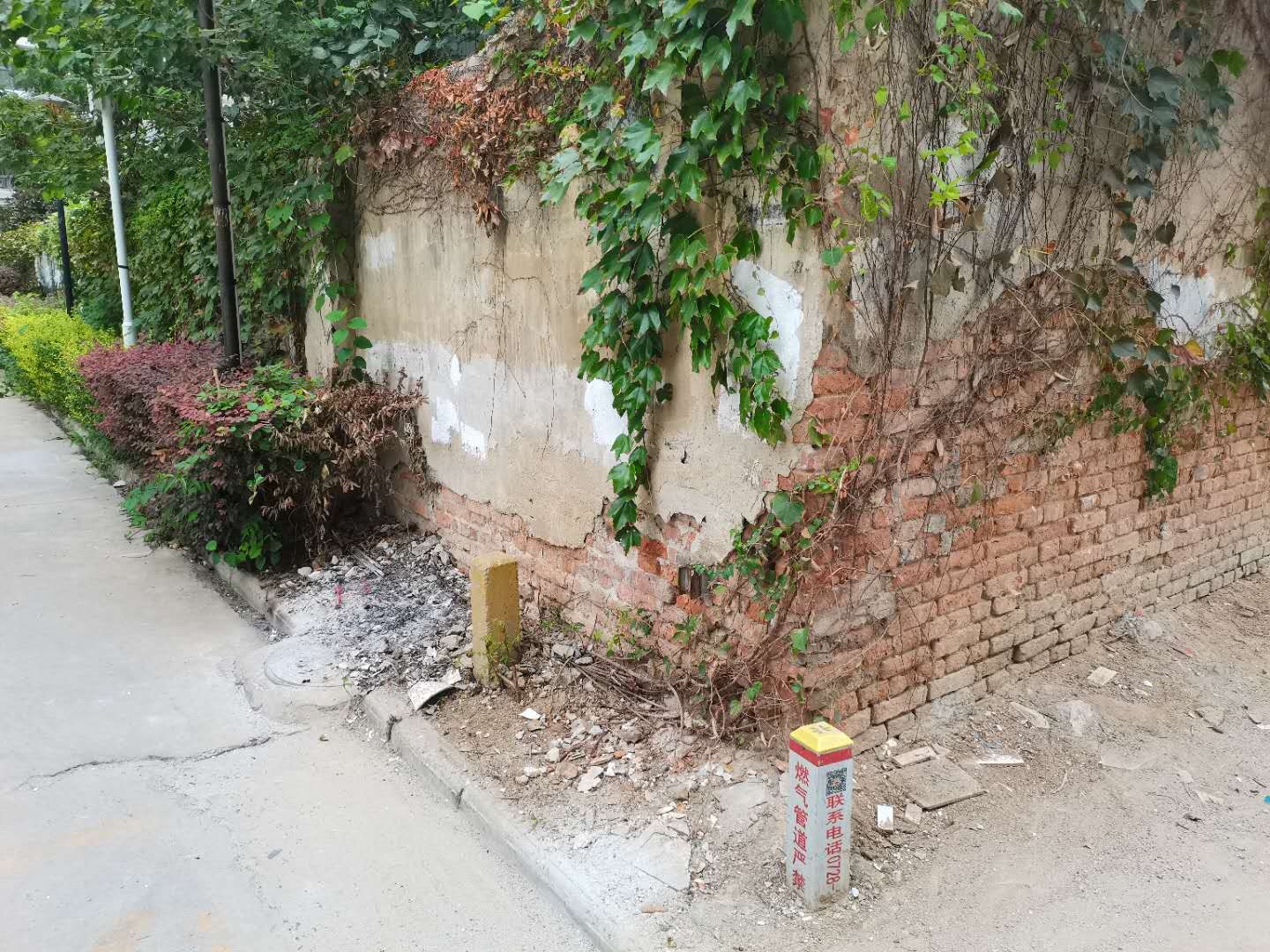 微信图片_20200902115751.jpg
