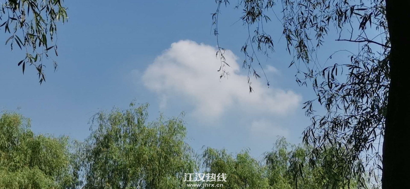 微信图片_20200905200527.jpg