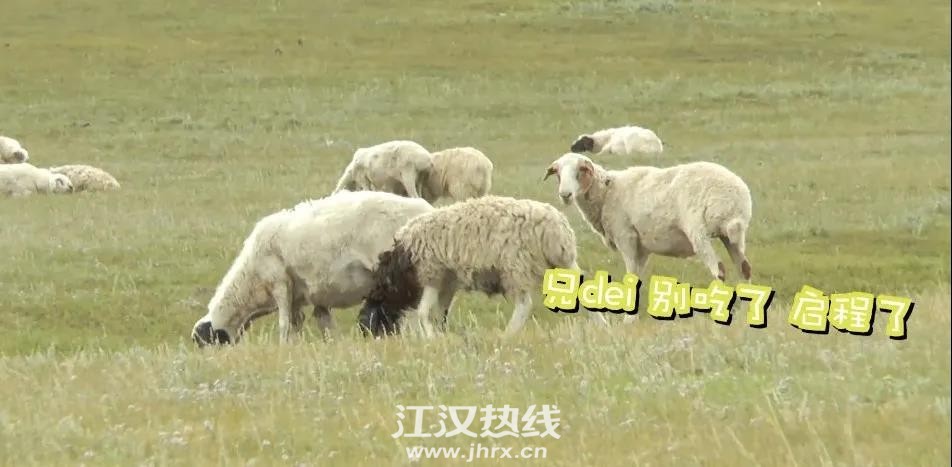 微信图片_20200911105542.jpg