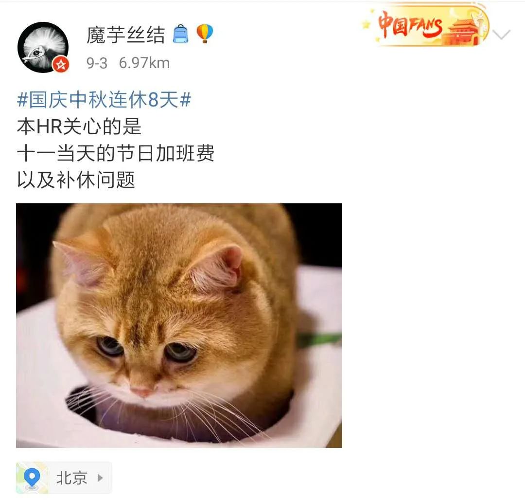 143930rg9autkpmakuyaam.jpg