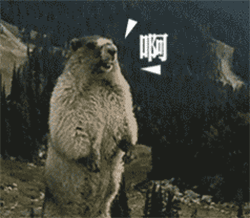 7d6fb90ac4f41cea7a029f4b78a76cb380ef26916c67a-73U0iI_fw658.gif