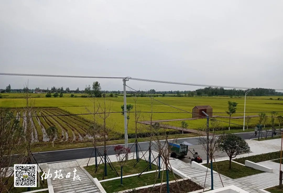 112042oaeffy8fhh4af84a.jpg