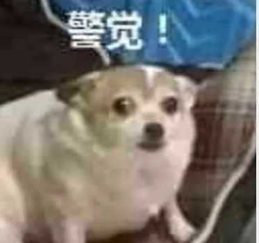 72900d3d27b1aa8625aa1817e9d154a7.jpeg