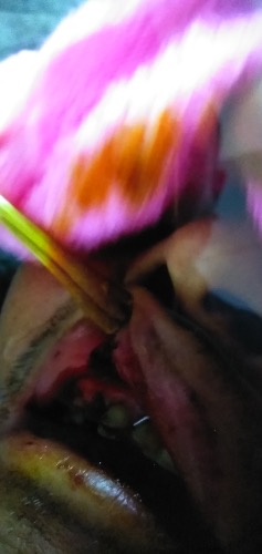 IMG_3119.JPG