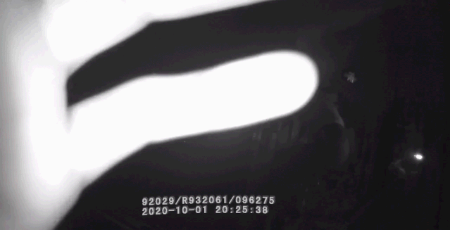 微信图片_20201002230219.gif