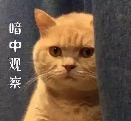 微信图片_20201012173215.jpg