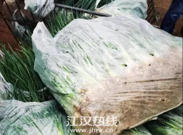 微信图片_20210116102438.jpg