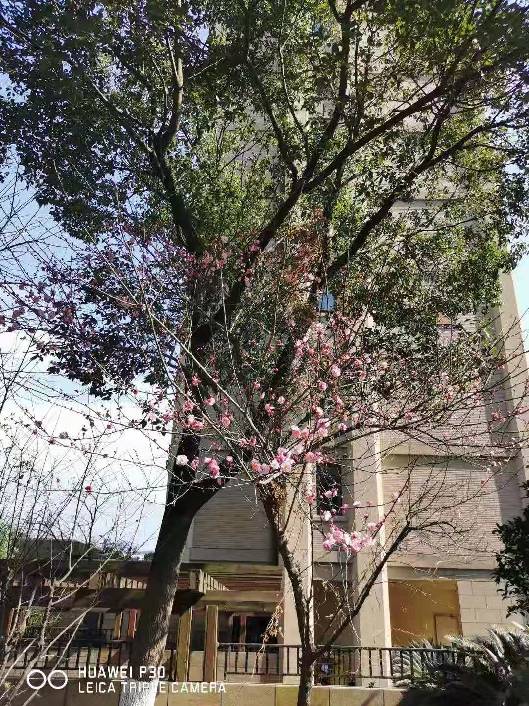 微信图片_20210201091325.jpg