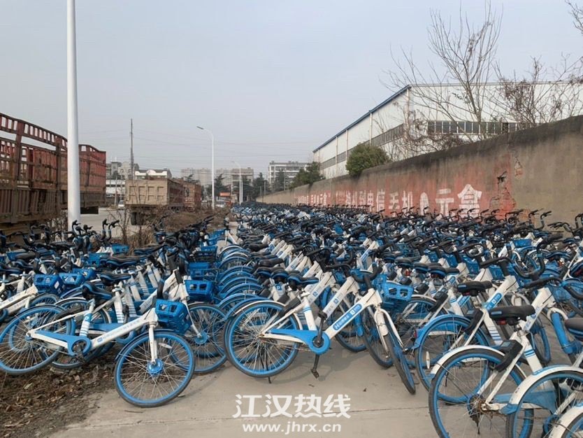 QQ图片20210206111111.jpg