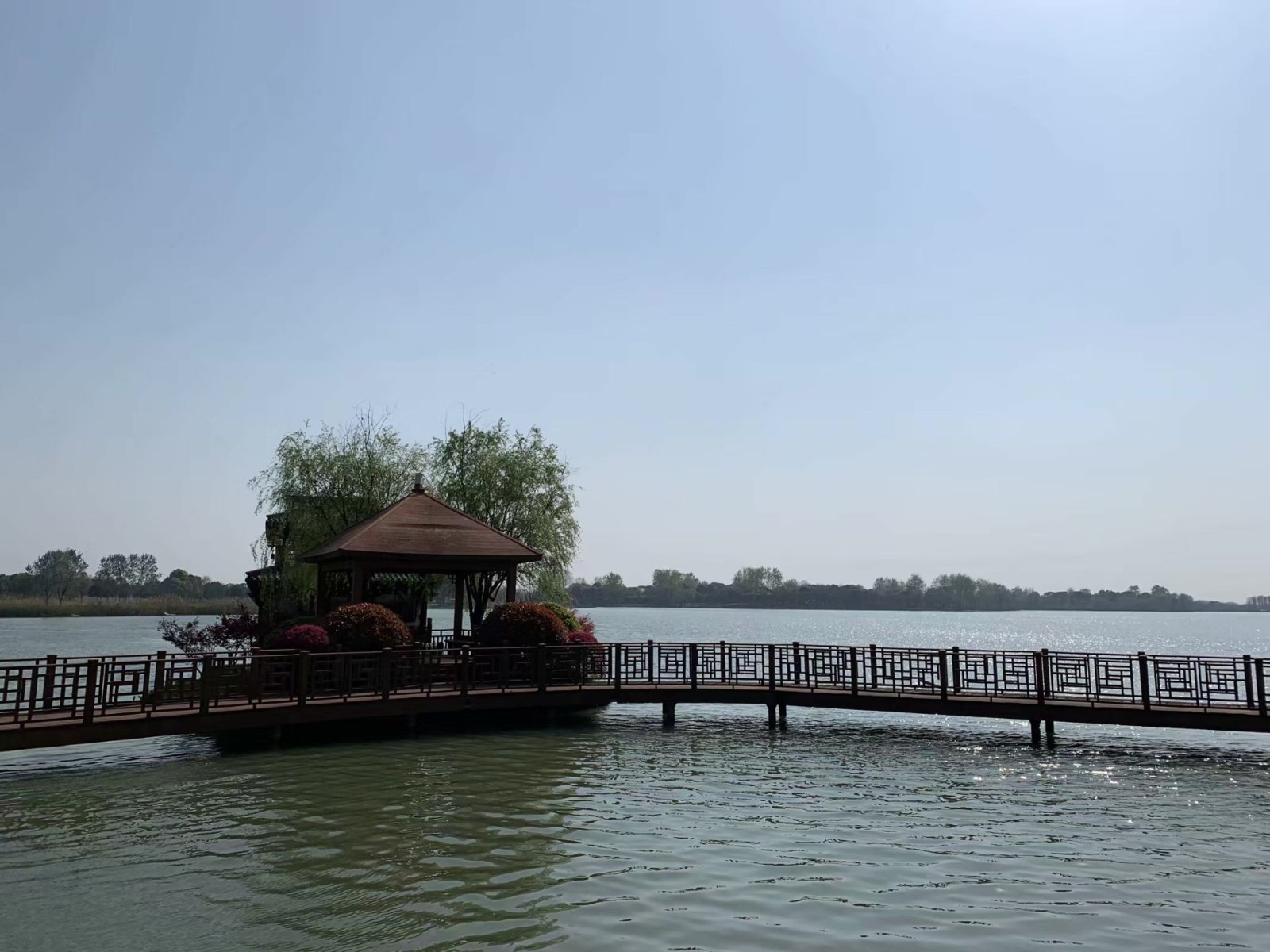 QQ图片20210206111254.jpg