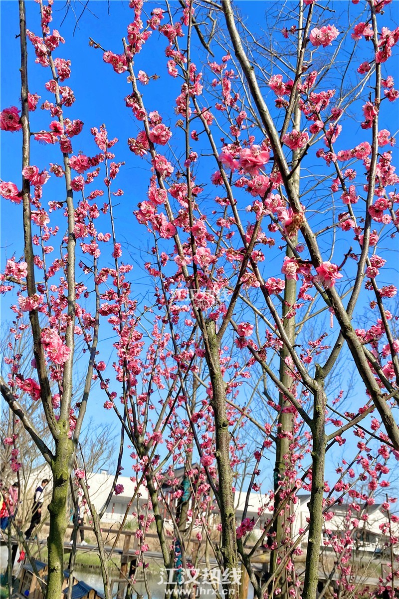 微信图片_20210219173138_副本.jpg