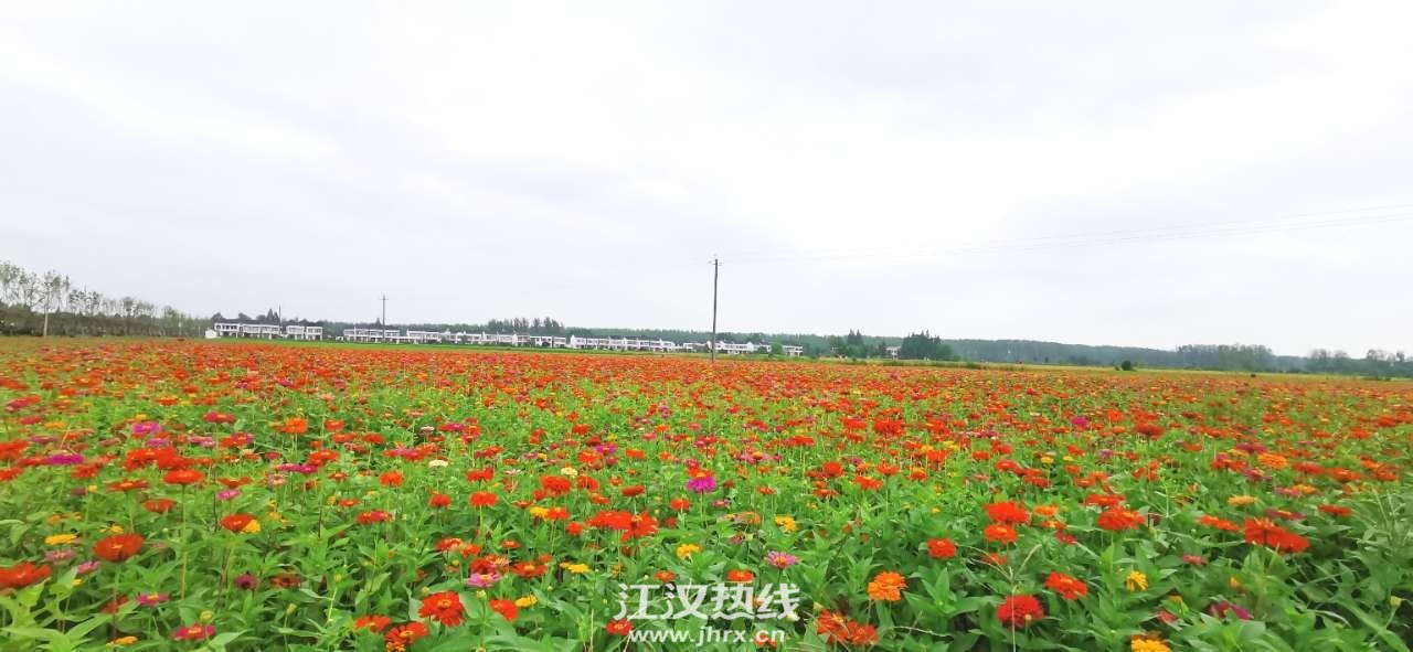 130654u2tqa2tppesaelgz.jpg