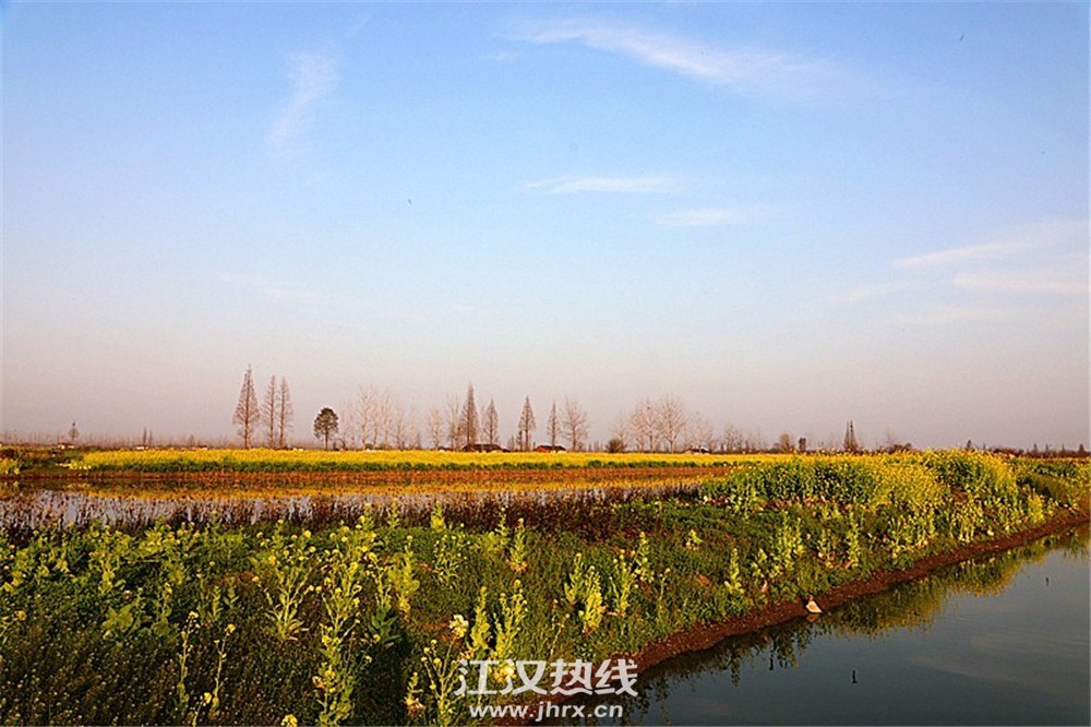 190457lp6chch0h0c5pgtu_副本.jpg