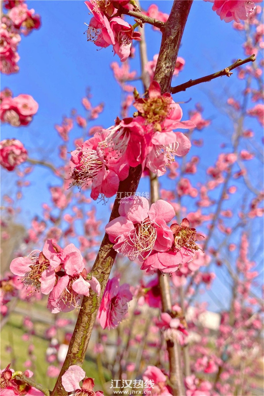 162407kkfp0ecdrh220gdh_副本.jpg