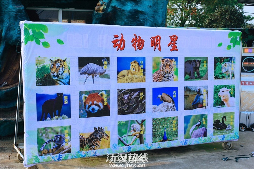 155906gyyaz4una4lyqpwu_副本.jpg