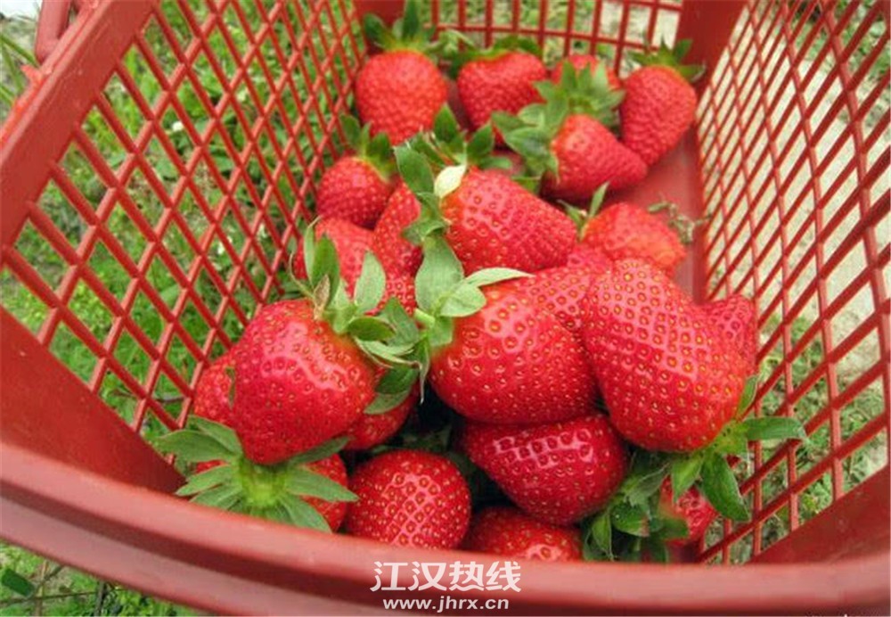 PwyO-htptaqf1199935_副本.jpg