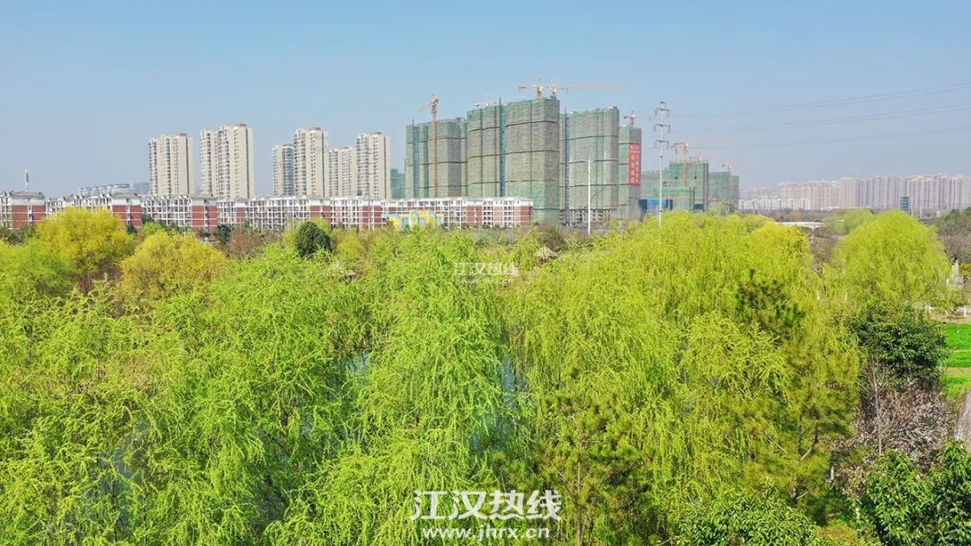 170513w87rzi2pp7wt9z25.jpg