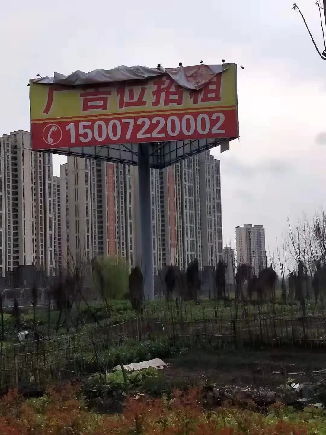093946mcqhpo52cc1dbkcb.jpg