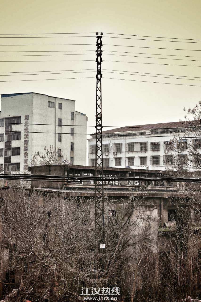 front2_0_FnSOSv0EyaUhzv260verO6EtgdXX.1616243990.jpg