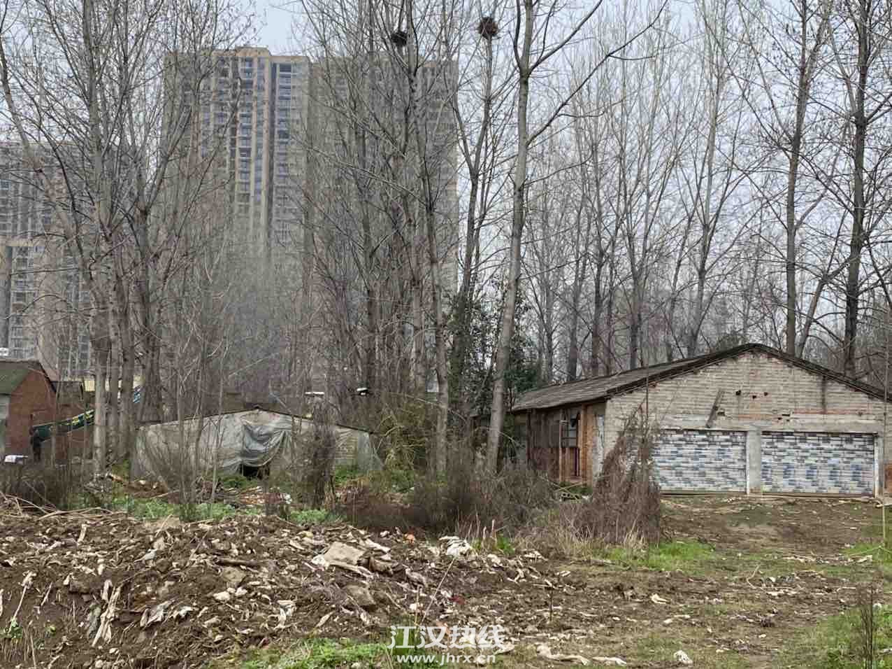 front1_0_FkhObeG4MNwumBOPk9N8jkdvgobj.1616301378.jpg