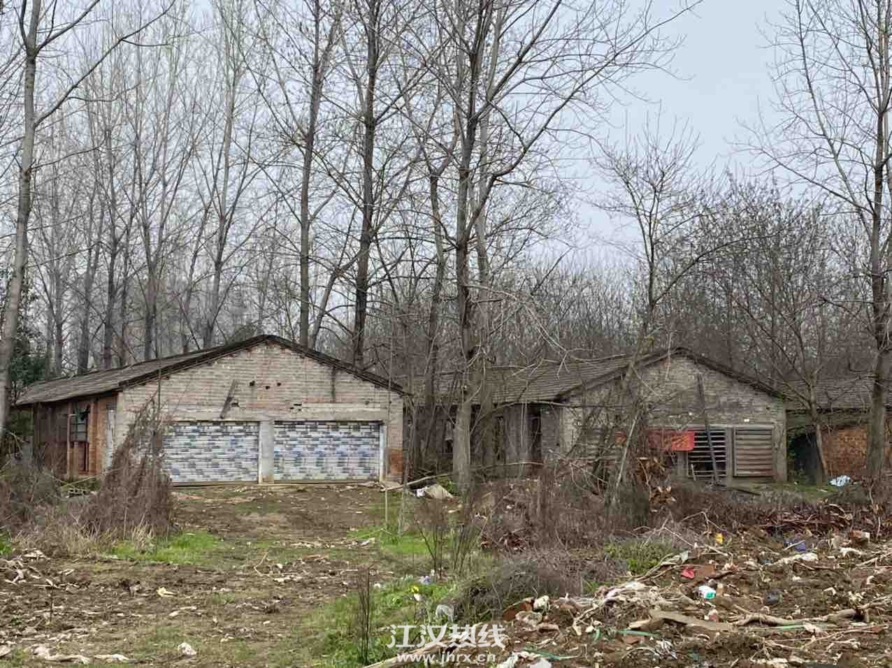 front1_0_FqaH-UvP0Mzr1qgtzE8oXV3DRDdb.1616301378.jpg