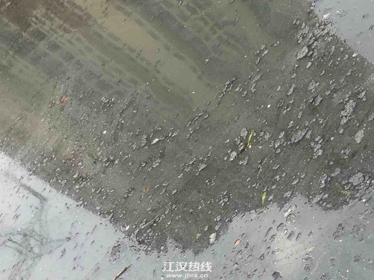 front1_0_Fozq8jyBjiNEAMsmaRIN1DXeYOlK.1616855019.jpg