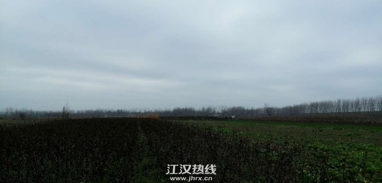 front2_0_FlVME57eHo6km_yfIIWWvTPX0dAl.1618198712.jpg