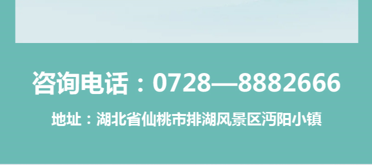 15.png