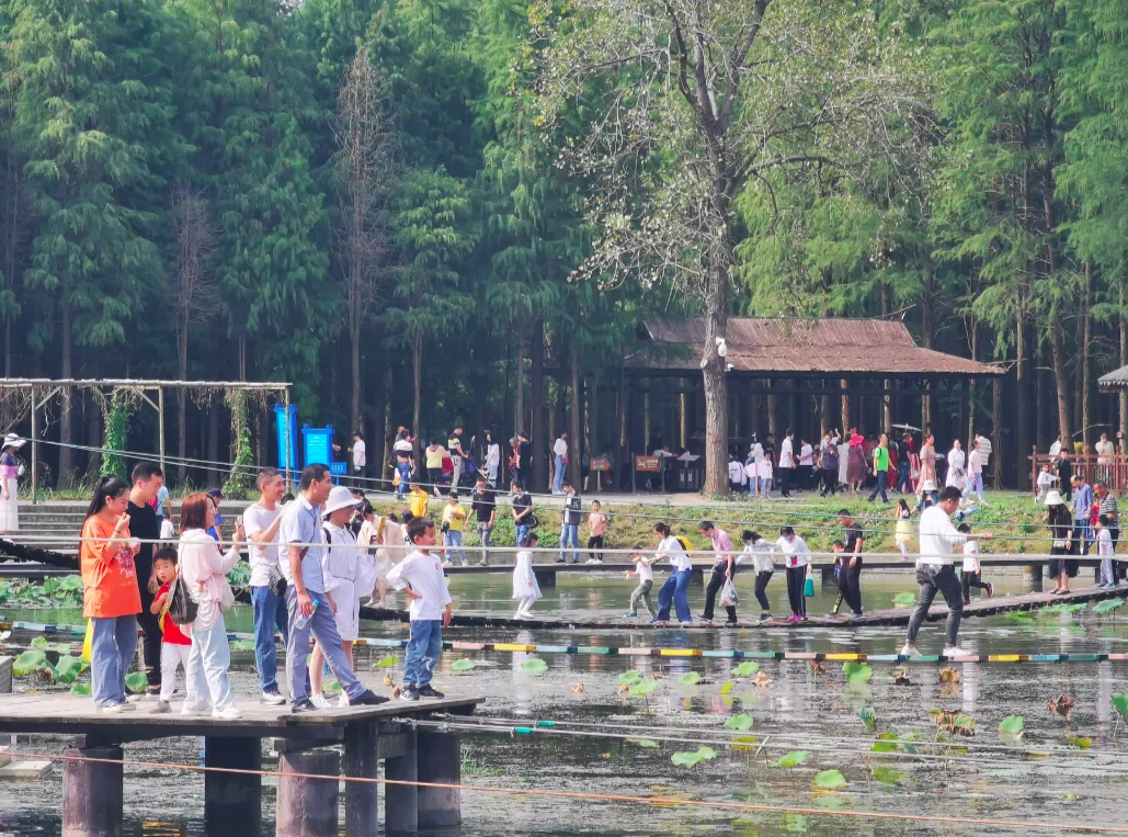 微信图片_20210506105301.png