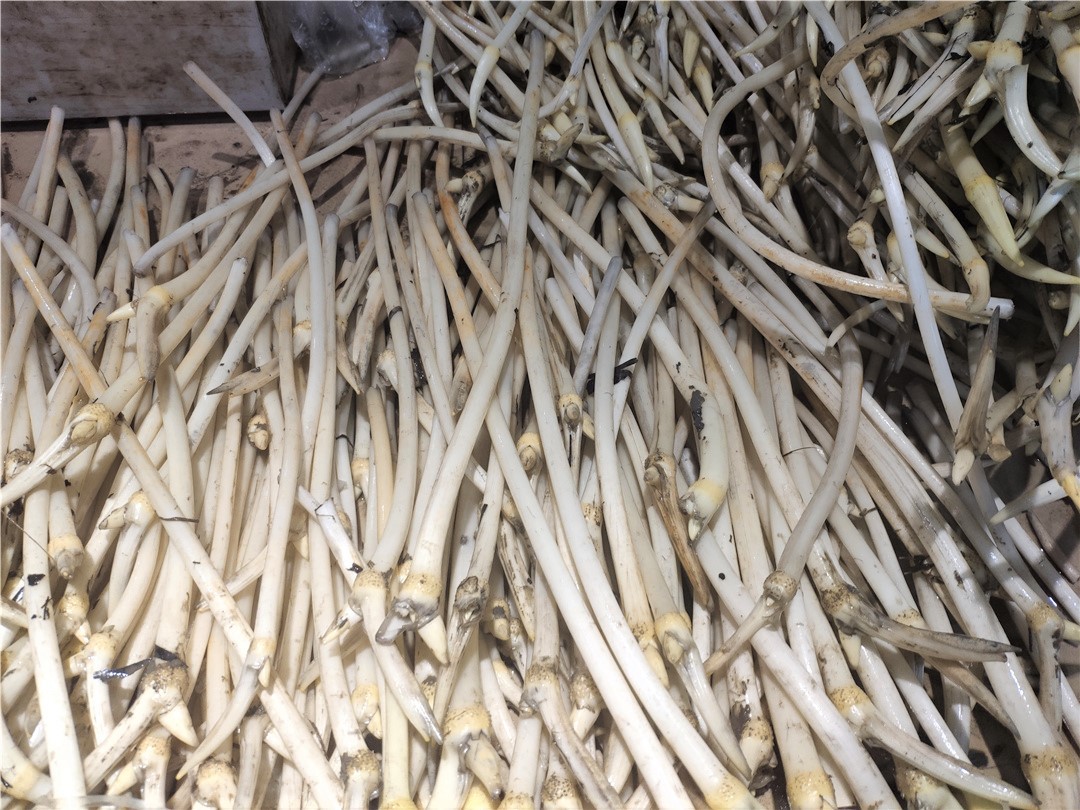 大洪菜场1.jpg