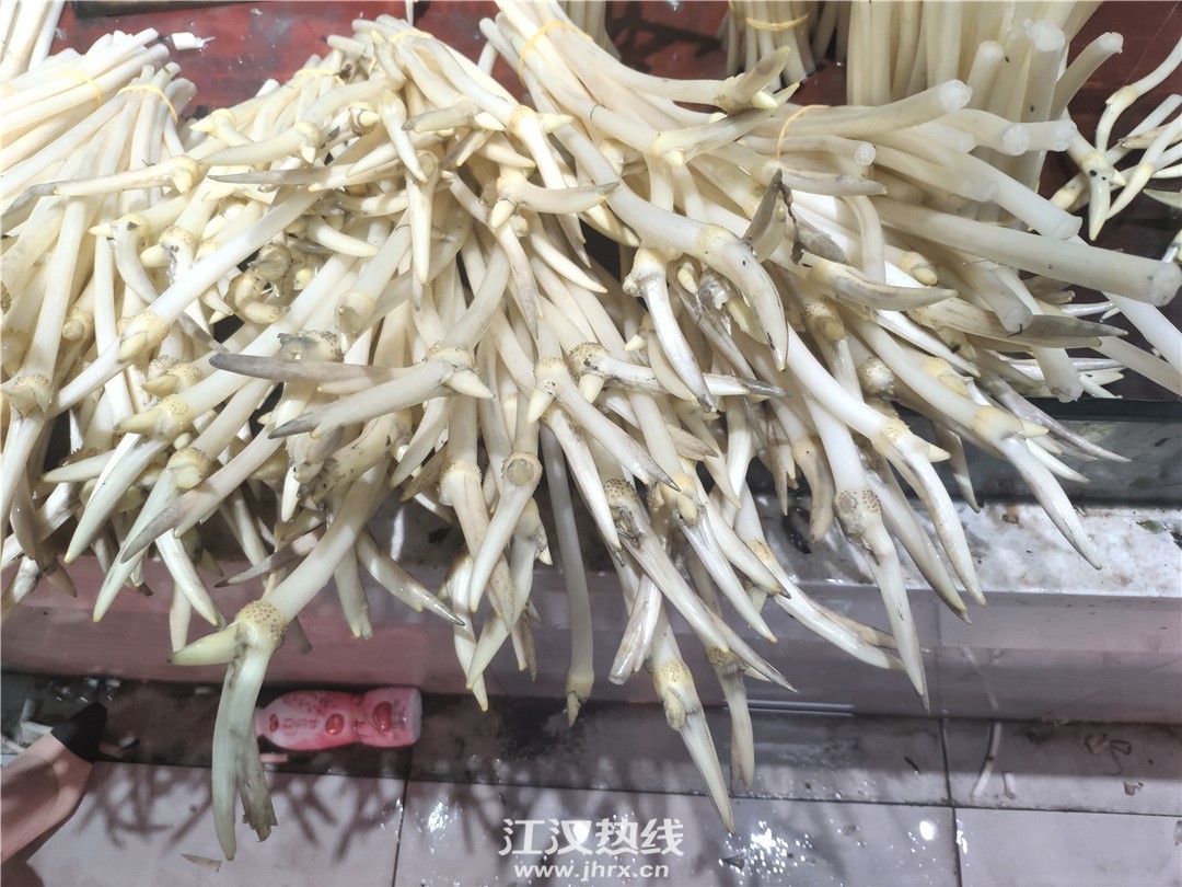 西桥菜场2.jpg